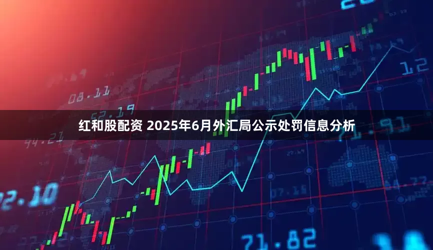 红和股配资 2025年6月外汇局公示处罚信息分析